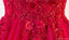 Ver Através de Blush cor-de-Rosa Lace A linha de Noite, Vestidos de Baile Longos 2018 Festa Vestidos de Baile, 17282